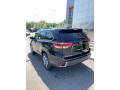2019 Highlander Limited Platinum AWD #6 2019 Highlander Limited Platinum AWD #6