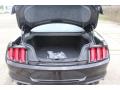  2019 Ford Mustang Trunk #21