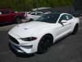 2019 Mustang EcoBoost Fastback #5