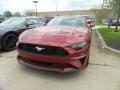2019 Mustang EcoBoost Fastback #1