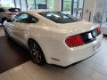 2015 Mustang 50th Anniversary GT Coupe #2