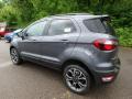 2019 EcoSport SES 4WD #5