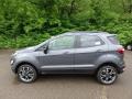  2019 Ford EcoSport Smoke Metallic #6
