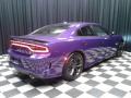 2019 Charger R/T Scat Pack #6