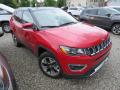 Front 3/4 View of 2019 Jeep Compass Limited 4x4 #5