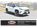 2019 RAV4 XSE AWD Hybrid #1