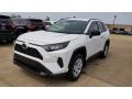 2019 RAV4 LE AWD #1