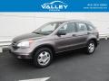 2010 CR-V LX AWD #1