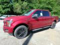 2019 F150 XLT SuperCrew 4x4 #6 2019 F150 XLT SuperCrew 4x4 #6