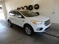 2017 Escape SE 4WD #1