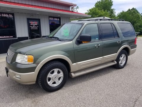 Estate Green Metallic Ford Expedition Eddie Bauer.  Click to enlarge.