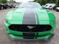  2019 Ford Mustang Need For Green #7