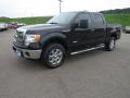 2013 F150 XLT SuperCrew 4x4 #7