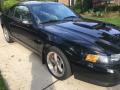 2001 Mustang GT Coupe #10