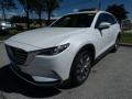 2019 CX-9 Signature AWD #3