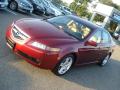 2006 TL 3.2 #7