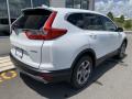 2019 CR-V EX-L AWD #7