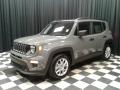 Front 3/4 View of 2019 Jeep Renegade Sport #2
