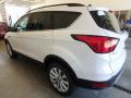 2019 Escape SEL 4WD #4 2019 Escape SEL 4WD #4