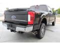 2019 F250 Super Duty Lariat Crew Cab 4x4 #7