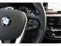 2019 5 Series 530i Sedan #15