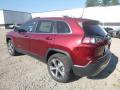 2019 Cherokee Limited 4x4 #3 2019 Cherokee Limited 4x4 #3