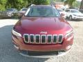 2019 Cherokee Limited 4x4 #8 2019 Cherokee Limited 4x4 #8