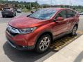 2019 CR-V EX-L AWD #4 2019 CR-V EX-L AWD #4