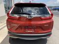2019 CR-V EX-L AWD #6 2019 CR-V EX-L AWD #6