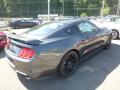 2019 Mustang EcoBoost Fastback #2
