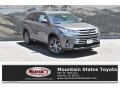 2019 Highlander XLE AWD #1