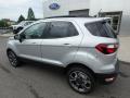 2019 EcoSport SES 4WD #8