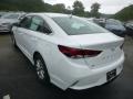 2019 Sonata SE #6