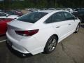 2019 Sonata SEL #2 2019 Sonata SEL #2