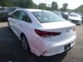 2019 Sonata SEL #6 2019 Sonata SEL #6