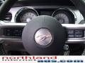 2010 Mustang GT Coupe #17