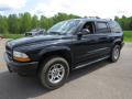 2003 Durango SLT 4x4 #7 2003 Durango SLT 4x4 #7