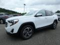2020 Terrain SLT AWD #1 2020 Terrain SLT AWD #1