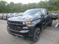 2019 Silverado 1500 Custom Z71 Trail Boss Crew Cab 4WD #1