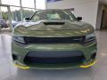 2019 Charger GT #2