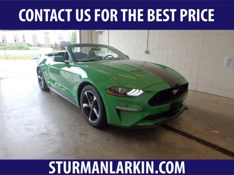 Need For Green Ford Mustang EcoBoost Convertible.  Click to enlarge.
