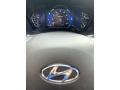  2020 Hyundai Santa Fe SEL AWD Gauges #33