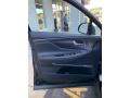 Door Panel of 2020 Hyundai Santa Fe Limited AWD #11