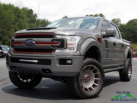 Lead Foot Ford F150 Harley Davidson Edition SuperCrew 4x4.  Click to enlarge.