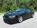 Front 3/4 View of 2003 Ford Mustang Cobra Convertible #3