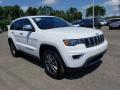 Front 3/4 View of 2020 Jeep Grand Cherokee Limited 4x4 #1
