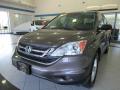 2010 CR-V EX AWD #1