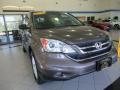 2010 CR-V EX AWD #6