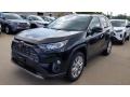 Front 3/4 View of 2019 Toyota RAV4 Limited #1