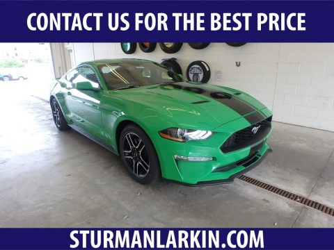 Need For Green Ford Mustang EcoBoost Fastback.  Click to enlarge.